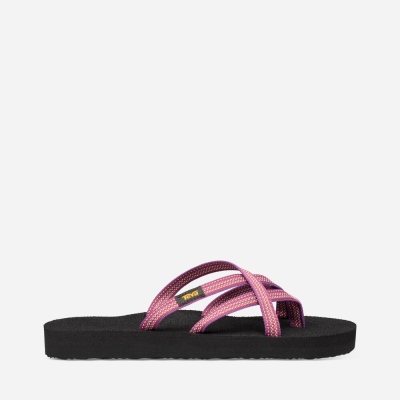 Teva Olowahu Women's Grey / Red Purple Flip Flops CA40938 Canada Online